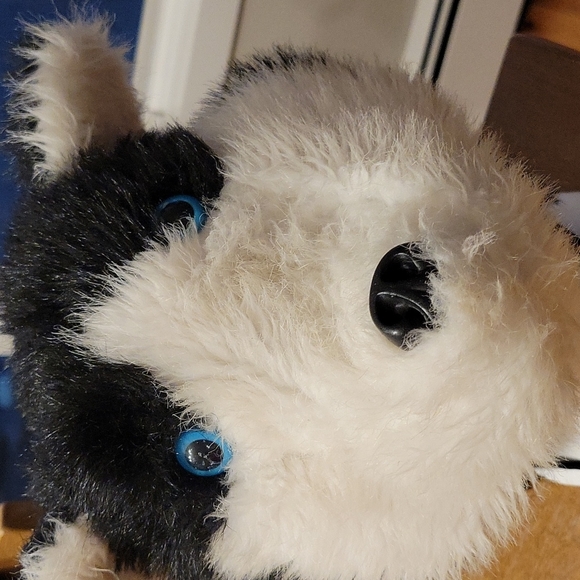 THE ROCKING HORSE WOLF HAT - Picture 8 of 11